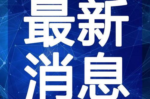 古隆中酒厂爆料视频最新,传统酿造工艺与现代科技融合的传奇之旅